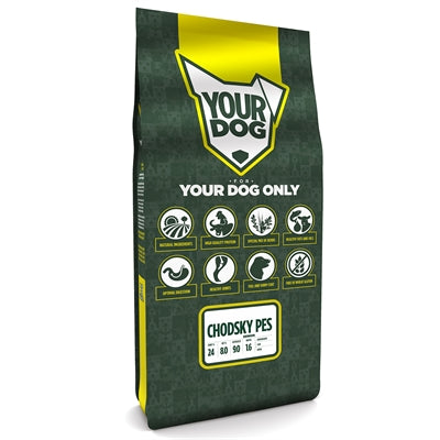 Yourdog Chodsky Pes Senior