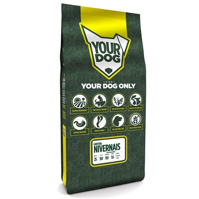 Yourdog Griffon Nivernais Volwassen